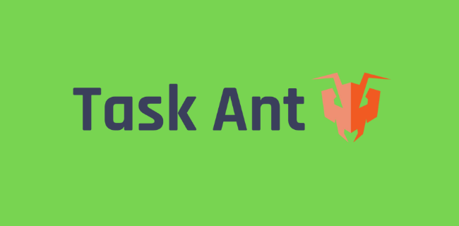 Task Ant Review