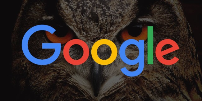 Google Project Owl